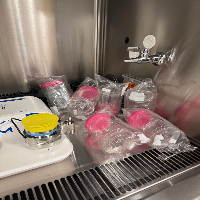 Millipore Milliflex Oasis Filtration Pump image 2